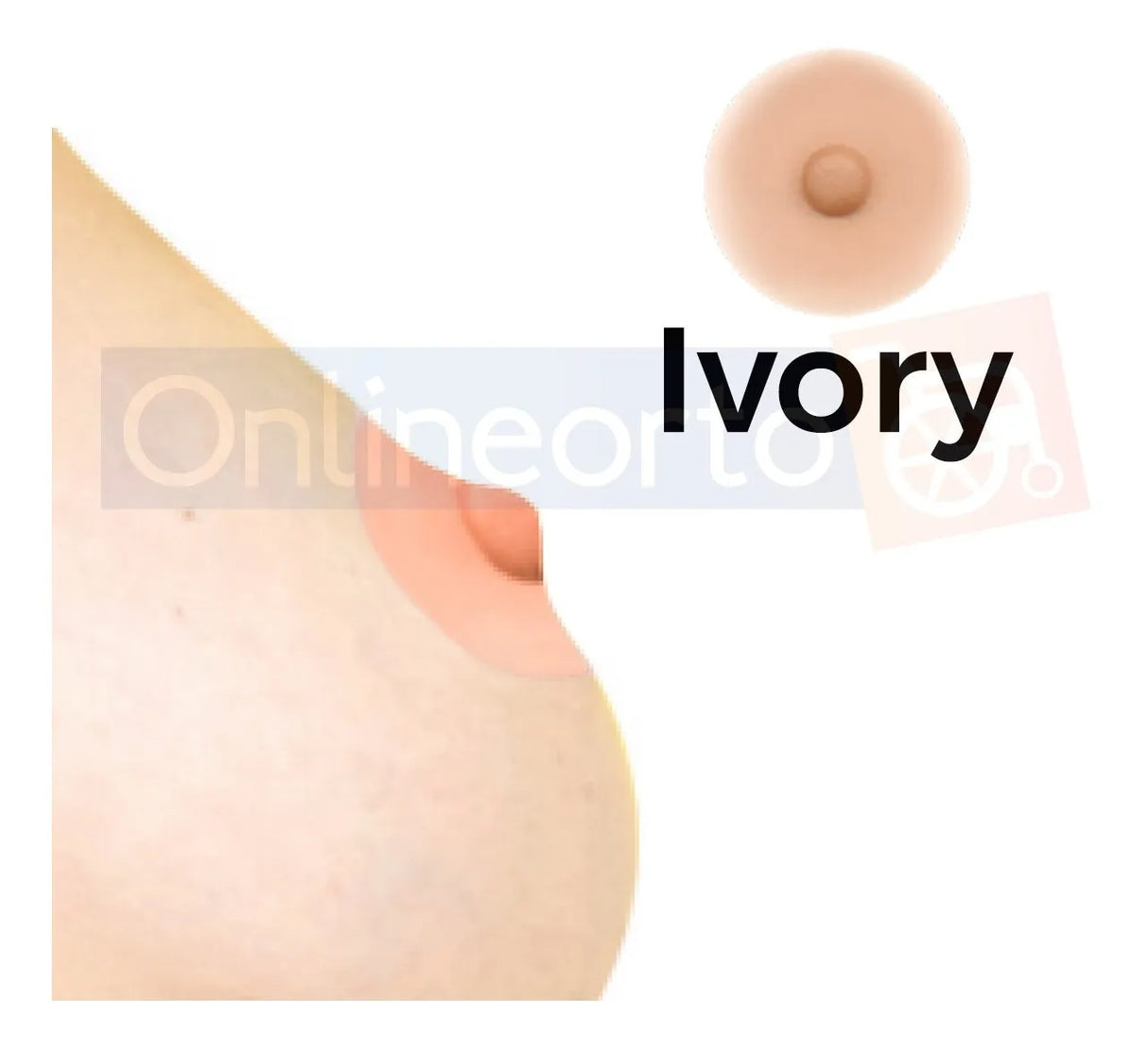 Prótesis Mamaria con Pezón Auto-Adherente Realista Nueva Tecnología Suave, Impermeable y Anatómica Realista Impermeable Textura Real