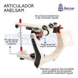 Articulador 3 Precision Ajustable Anelsam