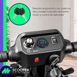 Scooter Eléctrico Para Adultos Mayores 4 Ruedas Con Canasta Ajustable Motor 250w Todo Terreno Plegable